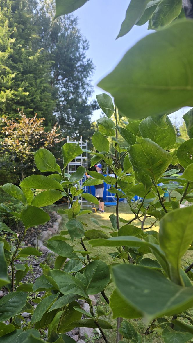 Wczasy po Polsku wiceprezesa Czarnka