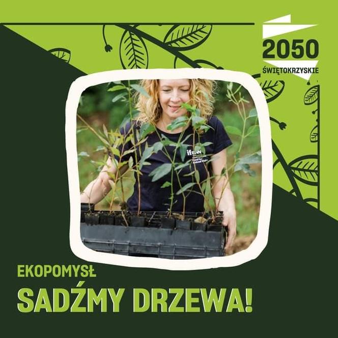 Sadźmy Drzewa