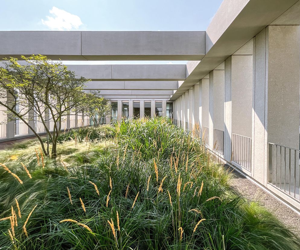 32 | Na ostatniej kondygnacji został zaprojektowany ogród, przylegający do strefy pomieszczeń ambasadora