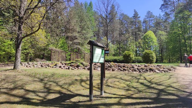 Arboretum w Kopnej Górze. Puszcza w pigułce