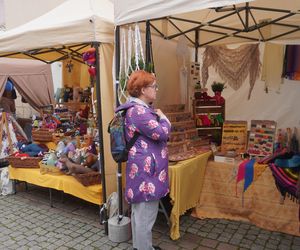 Dni Olsztyna 2025. Dziesiątki wystawców i setki olsztynian na Jarmarku Jakubowym