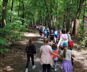 Miasto ogłosiło tegoroczny plan półkolonii dla dzieci i młodzieży. Czeka na nich mnóstwo atrakcji! 