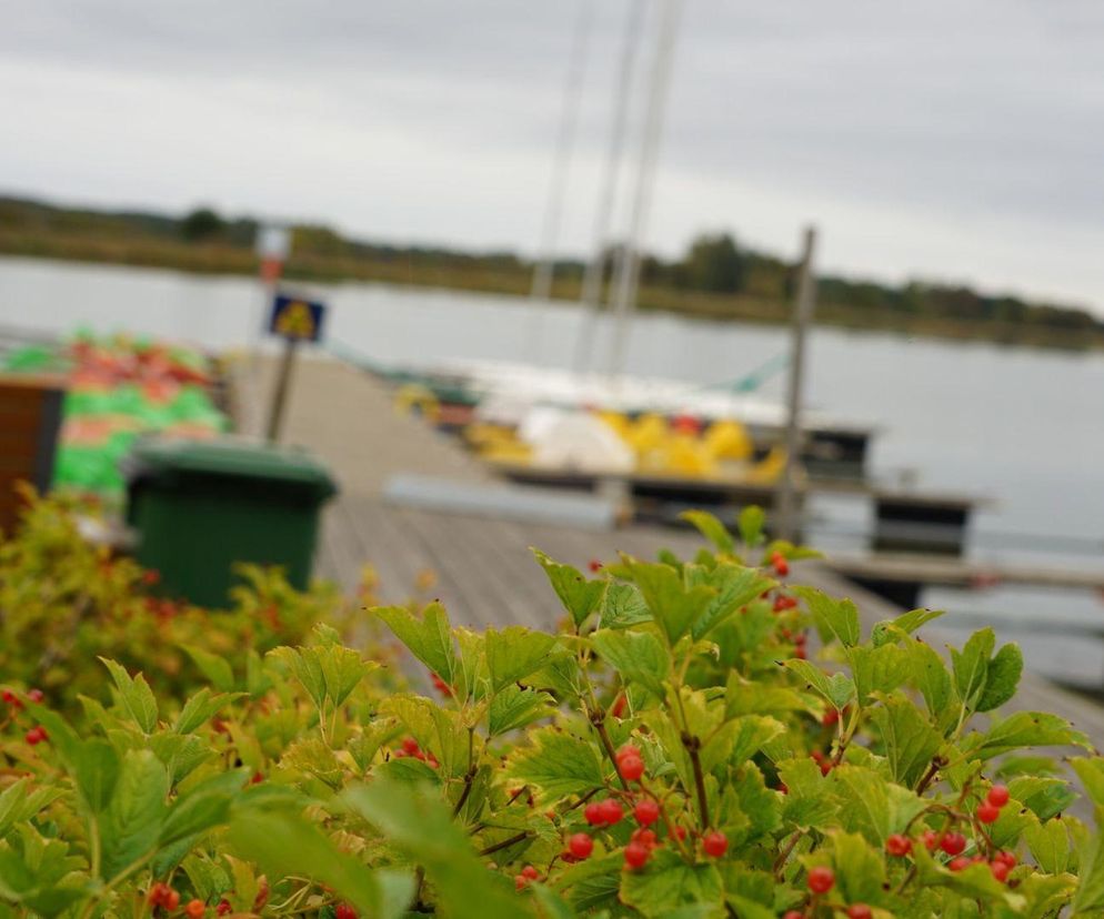 Co robić w Białymstoku w nadchodzący weekend? Oto przegląd wydarzeń