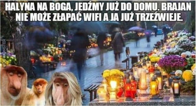 Wszystkich Świętych 2023. Zobaczcie najlepsze memy na 1 listopada! 