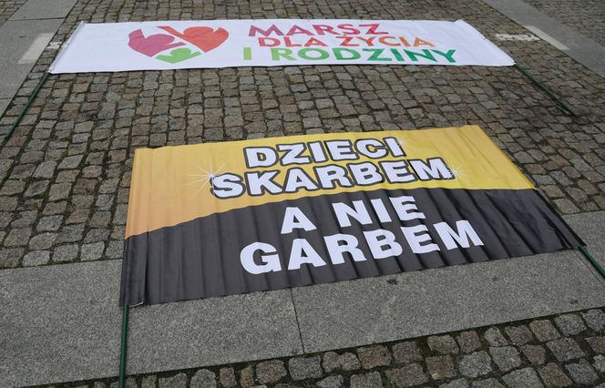 Ulicami Lublina przeszedł Marsz dla Życia i Rodziny 2025