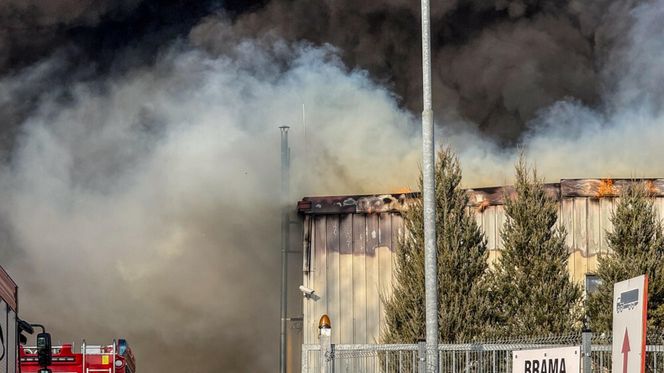 Ogromny pożar pod Zieloną Górą! Płonie hala firmy DBW. Jest pilny apel do mieszkańców