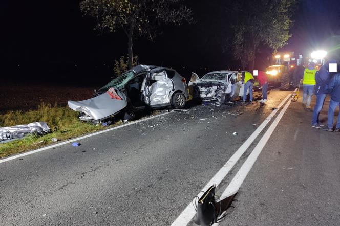 Tragiczny finał manewru w niedozwolonym miejscu [FOTO]