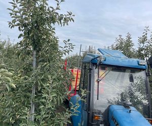 Tragedia w sadzie. Śmiertelny wypadek w Święcicy pod Sandomierzem. Mężczyzna przejechany przez platformę rolniczą