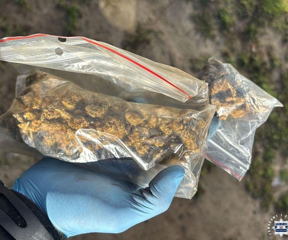 Kilogramy narkotyków przejęte przez policjantów w gminie Brody