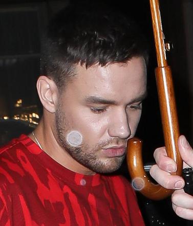 Liam Payne i Maya Henry