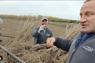 Mariusz Pudzianowski pracuje na polu