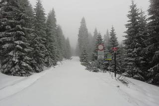 W Karkonoszach głęboka zima! Sypie śnieg, a odczuwalna temperatura to nawet -19ºC!