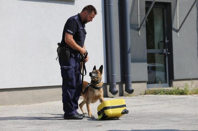 Wojewódzkie eliminacje do XXI Kynologicznych Mistrzostw Policji na obiektach KWP Lublin