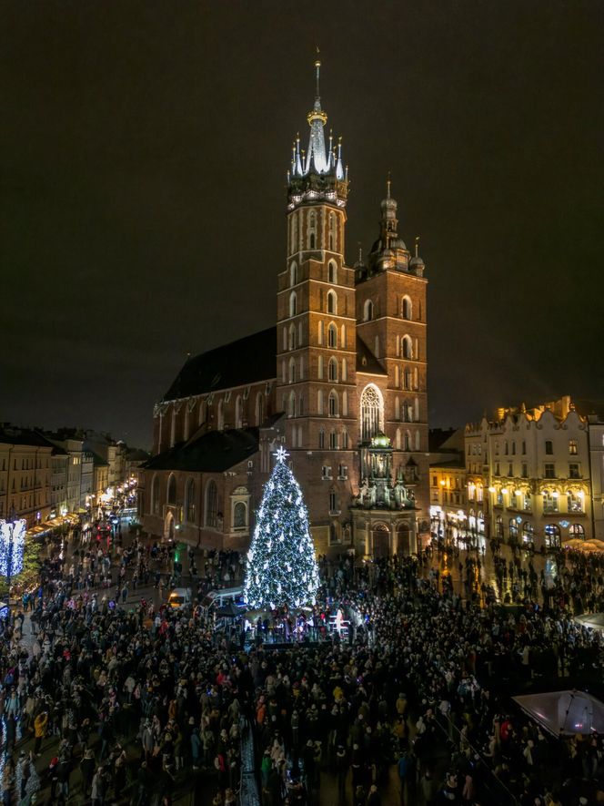 Najpiękniejsza choinka na świecie znajduje się w Polsce! Gdzie ją zobaczyć? 