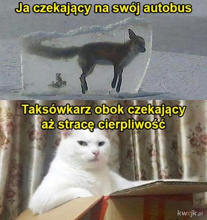 Jak zawsze zima przyszła z zaskoczenia. Zobacz MEMY o zszokowanych kierowcach i drogowcach