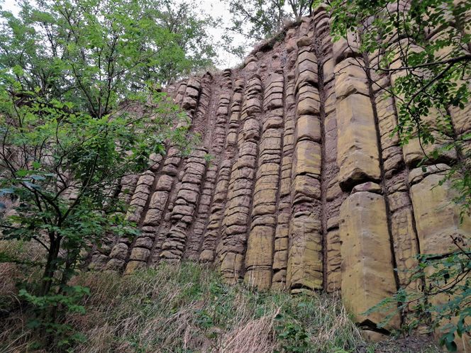 Bazaltowe słupy na Dolnym Śląsku