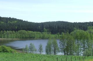 To najtrudniejsza trasa rowerowa na Warmii i Mazurach? Tak twierdzi AI