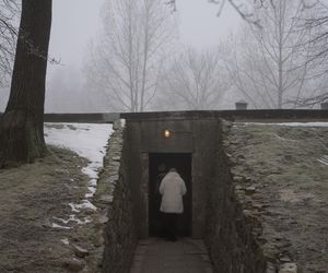  W poniedziałek 80. rocznica wyzwolenia niemieckiego obozu zagłady Auschwitz–Birkenau