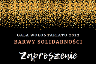 Lublin -  Barwy Solidarności, pomoc, nagrody i Gala Wolontariatu