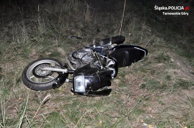 Sarna zabiła dwoje ludzi. Dramatyczny wypadek na DK 11 [ZDJĘCIA]