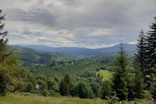 Z Dolnego Śląska w Beskid Żywiecki. Na tych szlakach odpoczniesz od zgiełku [ZDJĘCIA]