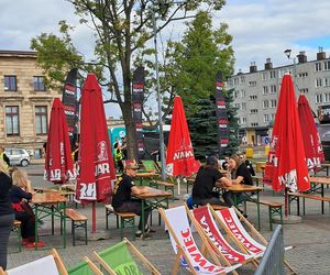 Nocny Kochanek posadził 10 drzew na 10-lecie zespołu