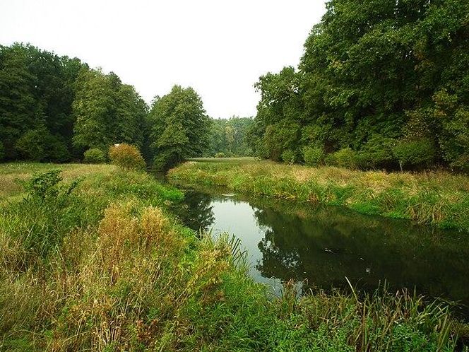 Dolina Wełny i Rzeka Wełna