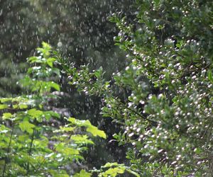 Temperatury powyżej 20 stopni kontra burze i ulewne deszcze! Wiemy, gdzie nastąpi pogodowy przełom