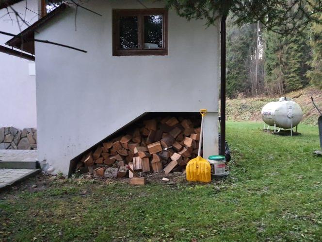Joanna Koroniewska i Maciej Dowbor tracą tygodniowo 9000zł