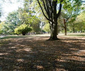 Park Konstytucji 3 Maja