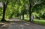 Park Miejski w Zamościu