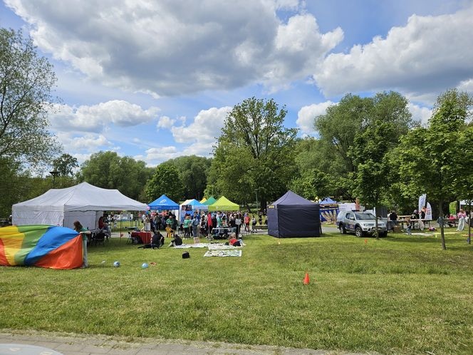 Festiwal Przyjaciół Zwierząt w Olsztynie. Park Centralny opanowały radosne pieski