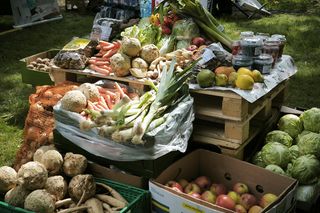 Leszczyński Masterchef