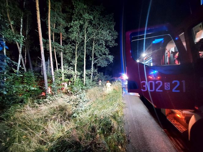 Wypadek na S1 w Katowicach. Samochód wypadł z drogi i stanął w płomieniach!