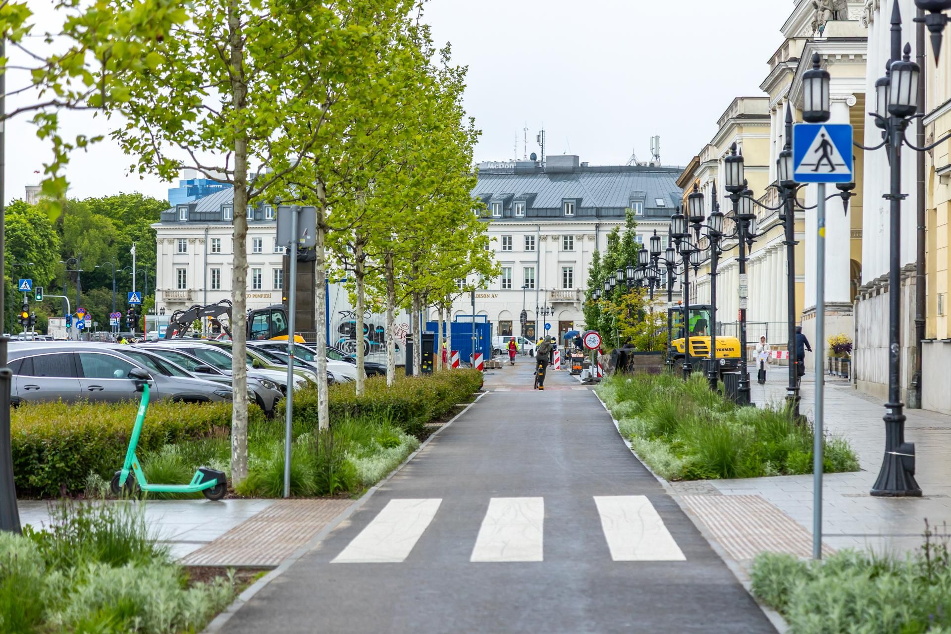 Sadzenie zieleni na placu Bankowym w maju 2025 r.
