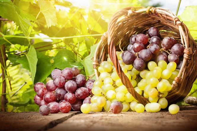 Winogrona - jakie mają wartości odżywcze i właściwości zdrowotne?