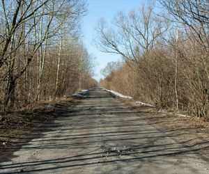 Biebrzański Park Narodowy