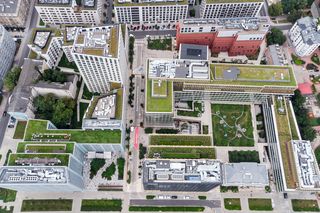 Browary Warszawskie