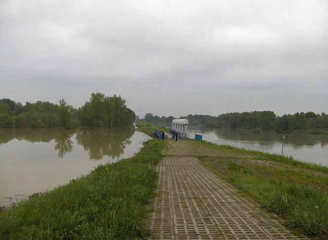 Polder Buków w 2010 r. zapobiegł powodzi