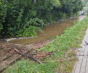 Jelenia Góra zalana. Pod wodą jest już 30 domostw, wiele dróg jest nieprzejezdnych 