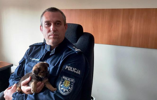 Policjanci z Kutna przygarnęli szczeniaki