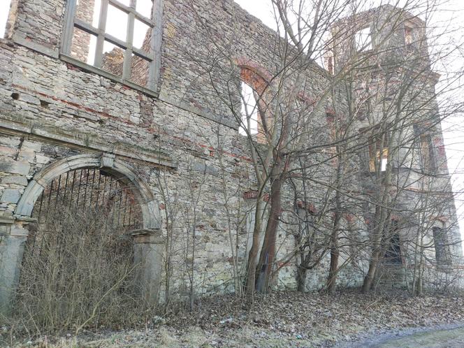 Ruiny Pałacy Tarłów w Podzamczu Piekoszowskim