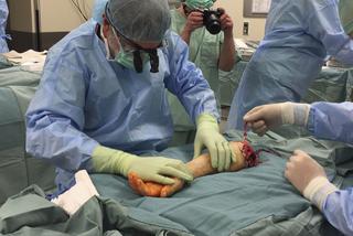 PIERWSZY TEGO TYPU PRZESZCZEP.