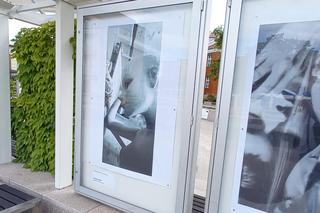 Artystyczny Ruch Społeczny zaprasza na wystawę fotografii w Iławie