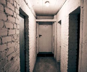 Będą kontrole piwnic w budynkach mieszkalnych. Straż miejska sprawdzi zawartość
