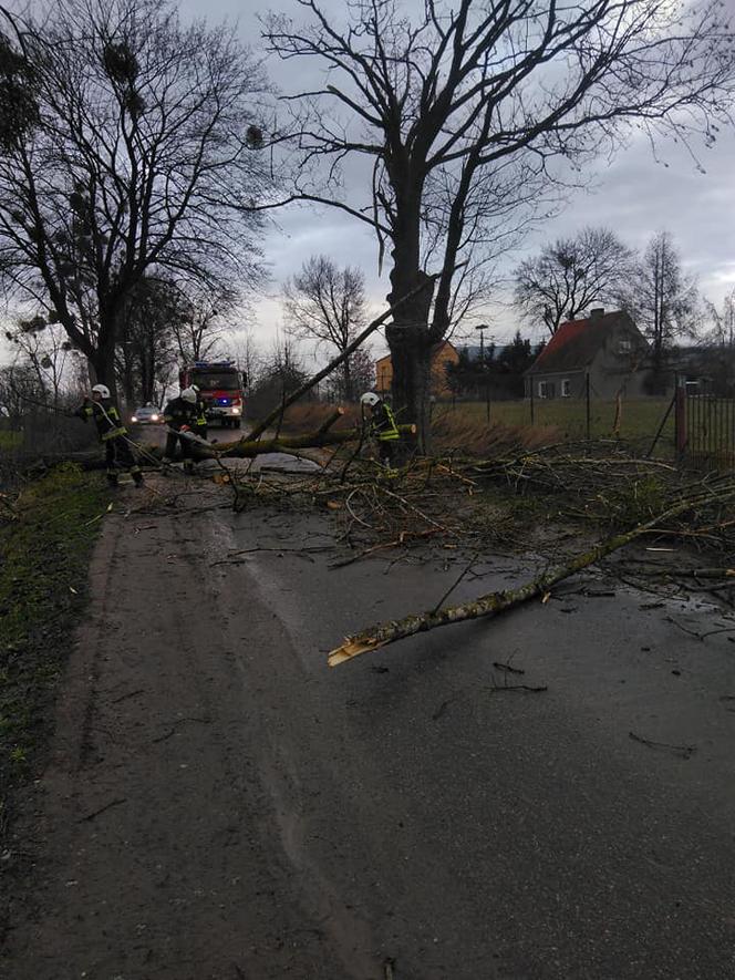 Wichura na Warmii i Mazurach. Silny wiatr łamał drzewa