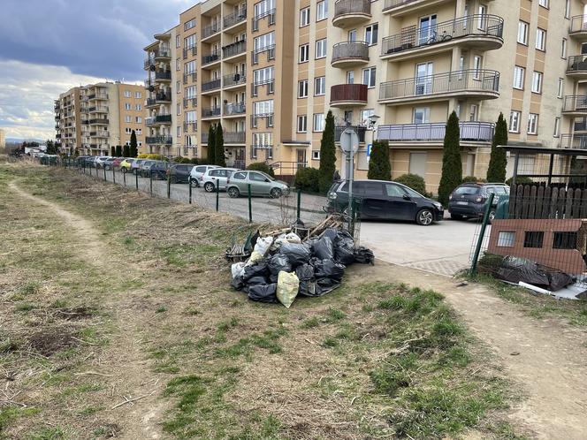 Mieszkańcy wzięli sprawy w swoje ręce i posprzątali Górkę Narodową. Pomogło im MPO