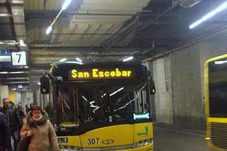 San Escobar jest na Śląsku! [ZDJĘCIE DNIA]