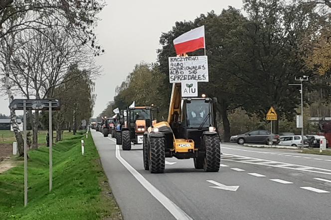 Rolnicy zablokowali jeden pas ruchu na DK2 w okolicy miejscowości Zdany pod Zbuczynem