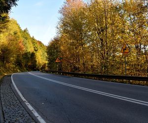 Małopolska wieś, która zachwyciła filmowców. Jesienią można poczuć się jak na planie